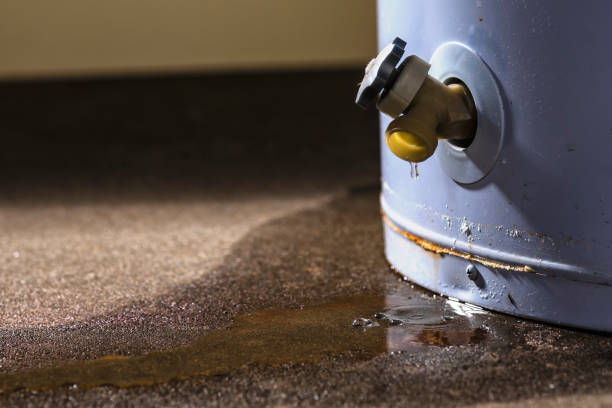 Best Flood damage cleanup  in Layton, UT