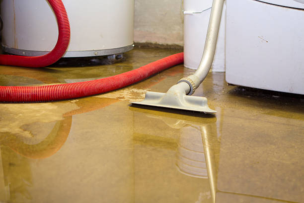 Best Carpet water damage restoration  in Layton, UT