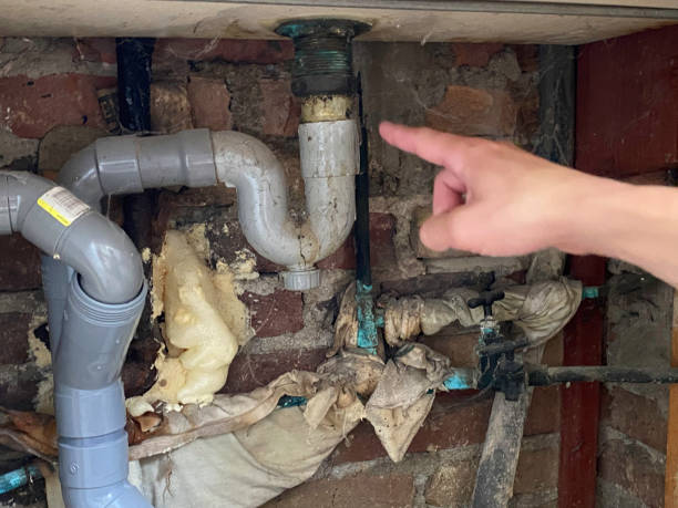 Best Water damage restoration near me  in Layton, UT