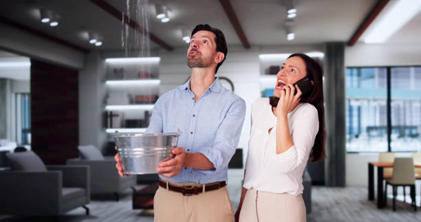 Best Water damage contractors near me  in Layton, UT